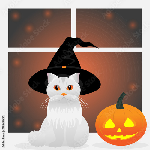 A gray cat in a black witch s hat is sitting on the windowsill next to it lies a pumpkin with eyes and a smile. The concept of Halloween.