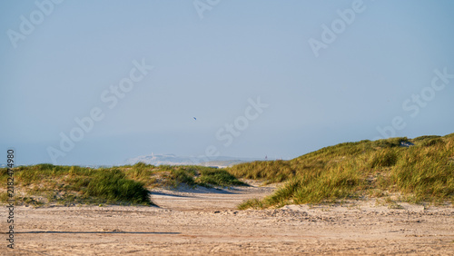 Canvas Print A view from a sandy beach over grassy dunes with the silhouette of the Rubjerg Knude cliff and lighthouse in the distance, Denmark