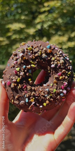 Chocolate Glazed Donut with Sprinkles