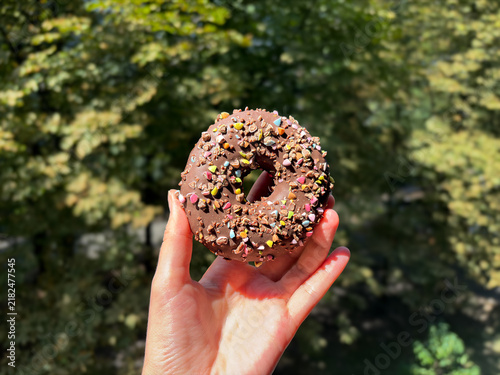 Chocolate Glazed Donut with Sprinkles