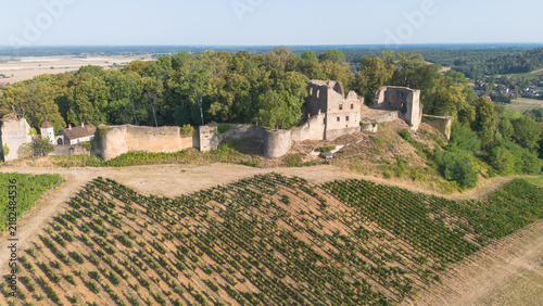 Photography château fort de style anglo-saxon sur la colline qui domine Arlay, ruines du châ