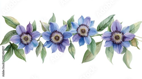 cute watercolor passion vine flower, pastel purple, white background
