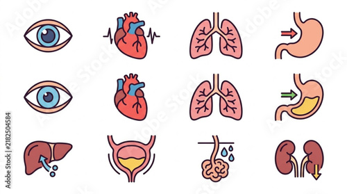 Human internal organs medical icons set vector illustration.