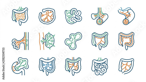 Human Intestine Anatomy Icon Set Hand Drawn Style.