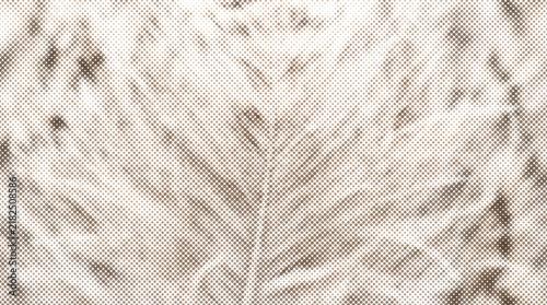 Vintage halftone feather texture intricate detailed pattern design illustration