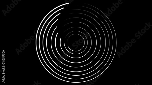 Abstract White Concentric Circles on Black Background rings