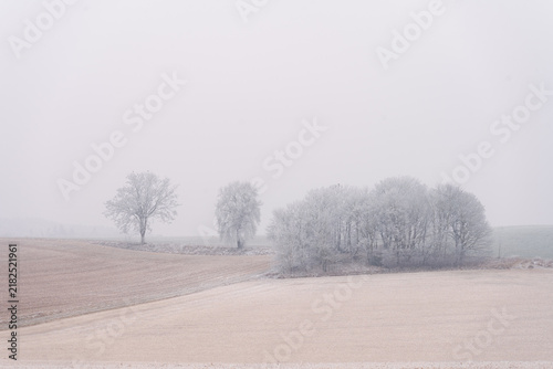 Bavarian winter countryside in frost and fog