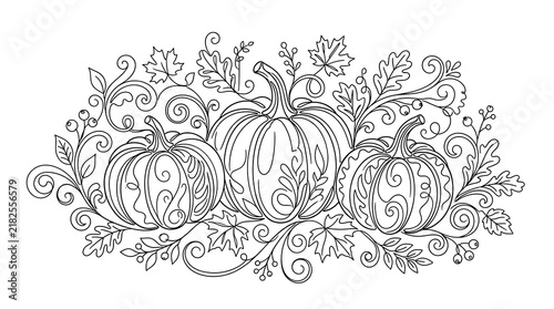 Intricate decorative line art illustration of three pumpkins with pumpkins seasonal decoration vegetable illustration