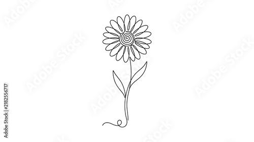 Minimalist continuous line art illustration of a single daisy flower with botanical minimalist illustration delicate