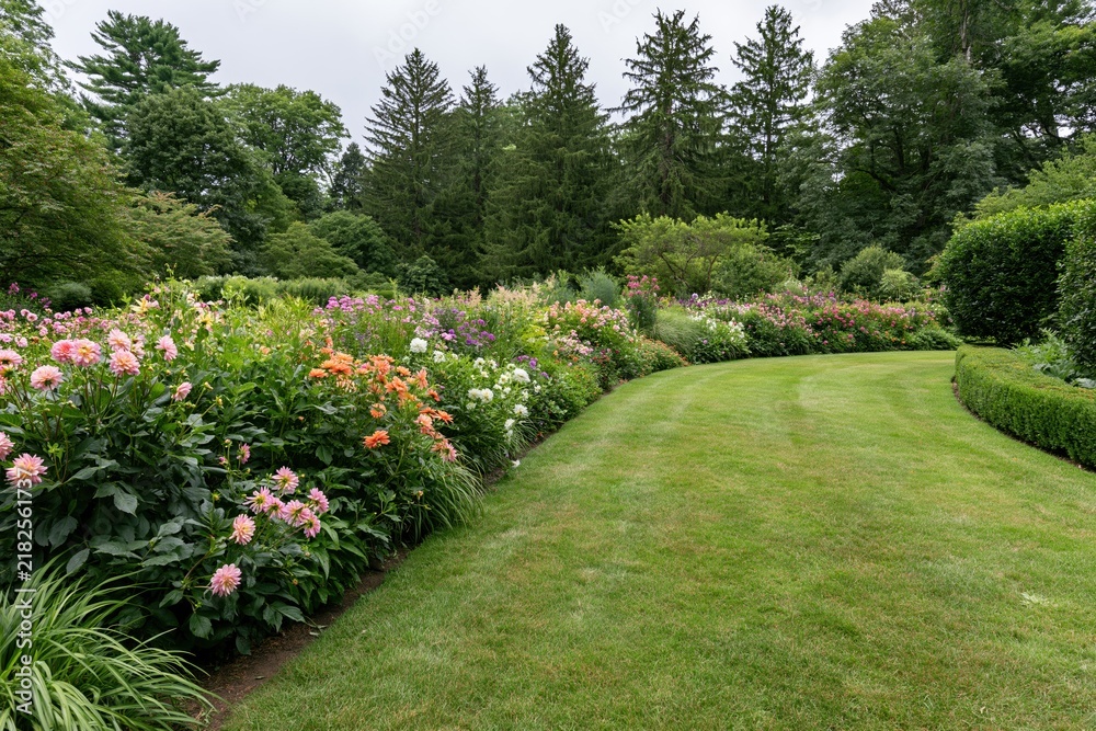 Obraz premium The Garden Path with Blooming Flower Borders and Green Lawn