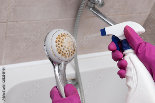 Person wearing rubber gloves spraying cleaning solution onto a shower head covered with limescale and grime. Concept of limescale removal, deep cleaning, bathroom hygiene, hard water stains,