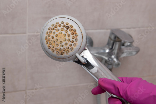 Obraz na plátně Person holding a dirty shower head covered with limescale, grime, and mineral buildup