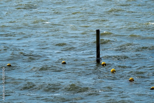 Water surface with floating objects and a wooden post during daylight hours