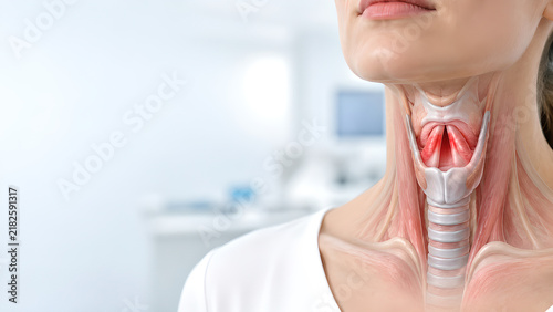 Laryngitis inflamed larynx and vocal cords medical website banner, photorealistic throat anatomy with copy space for healthcare, patient education, clinical communication, and medical education use