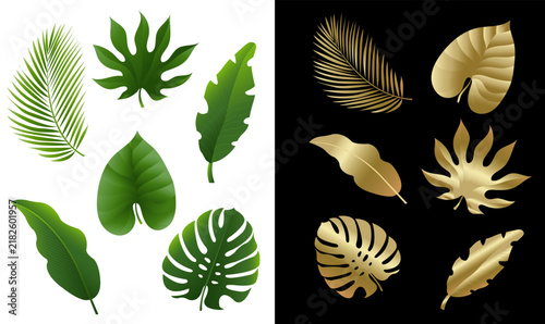 Green And Golden Tropical Leaves
