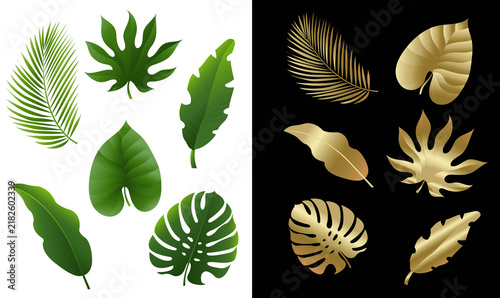 Green And Golden Tropical Leaves