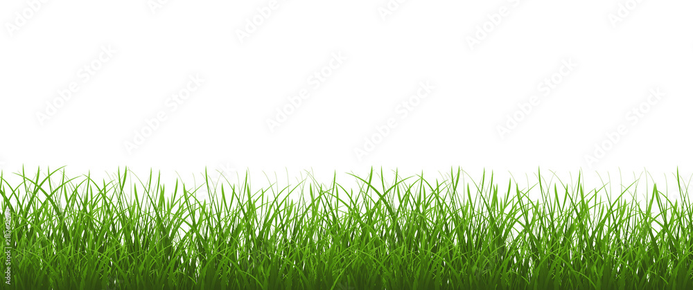 Obraz premium Green Grass Border And Isolated White Background