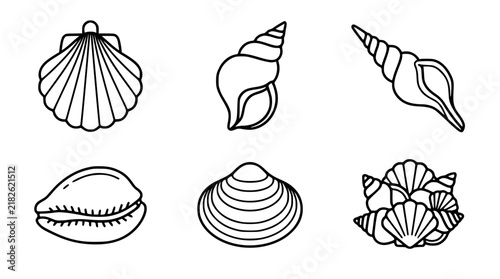Elegant Seashell Vector Icon Set Featuring Scallops Long Spiral Augers Cowries and Clams with Clean Line Art Contours for Marine and Beach Graphic Designs