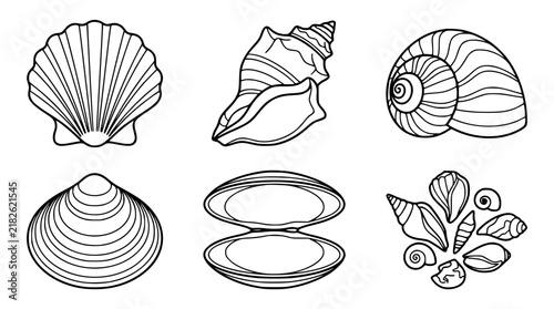 Seashell Vector Icon Set Featuring Diverse Marine Snail Shells Clams Scallops and Ocean Biovalves for Summer Beach and Nautical Graphic Designs