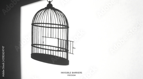 Empty birdcage shadow cast upon plain wall signifies intangible obstacles preventing true personal autonomy liberty and escape from self imposed prison.