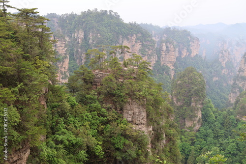 фотографія Quartz-sandstone pillars with resilient, ancient trees at Huangshizhai (Yellow S