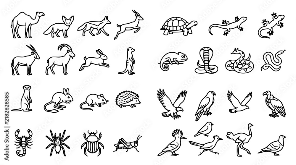 Fototapeta premium Desert Wildlife and Wild Animals Vector Line Icon Pack Featuring Camel Gazelle Reptiles Snakes Birds of Prey Insects and Arid Ecosystem Fauna Graphics