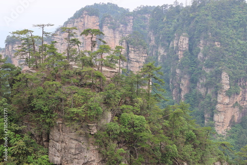 Konstfotografi Quartz-sandstone pillars with resilient, ancient trees at Huangshizhai (Yellow S