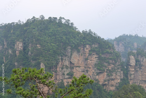 Foto Ancient pine branches with background of ancient karst pillars at Huangshizhai (