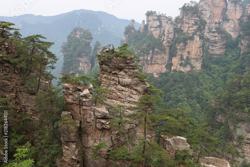 Fotografía Quartz-sandstone pillars with resilient, ancient trees at Huangshizhai (Yellow S