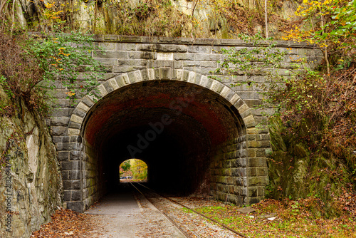Old stone tunnel along a railway line surrounded by trees in a rural area during fall