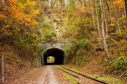 Tunnel entrance surrounded by trees in autumn with old railroad tracks on the ground