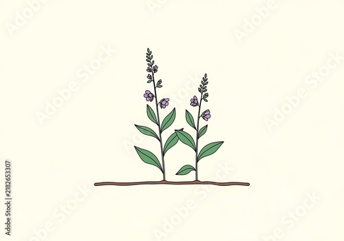 Simple hand-drawn illustration of two green plants with small purple flowers, growing from a brown line, set against a light background, symbolizing growth and nature.