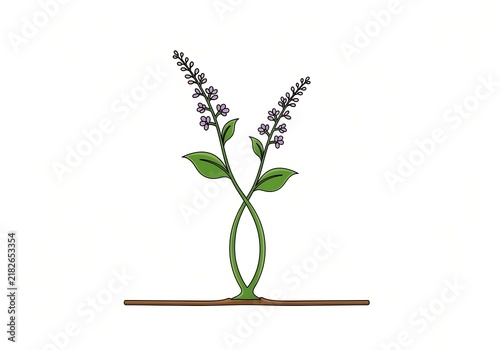 Charming hand-drawn illustration depicting two green plants with purple flowers, their stems elegantly crossed, rooted in a brown line on a clean white background, representing connection and life.