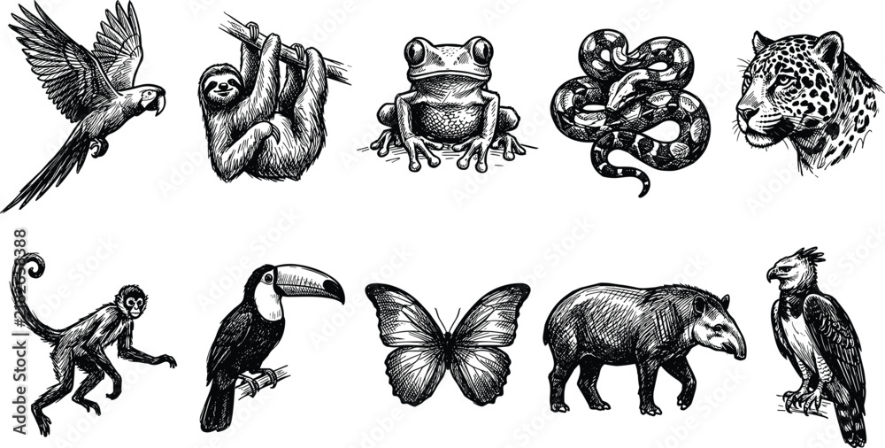Fototapeta premium Tropical Jungle Animals and Rainforest Wildlife Woodcut Style Icon Set with Sloth Jaguar Toucan Parrot and Monkey Symbols for Nature Designs