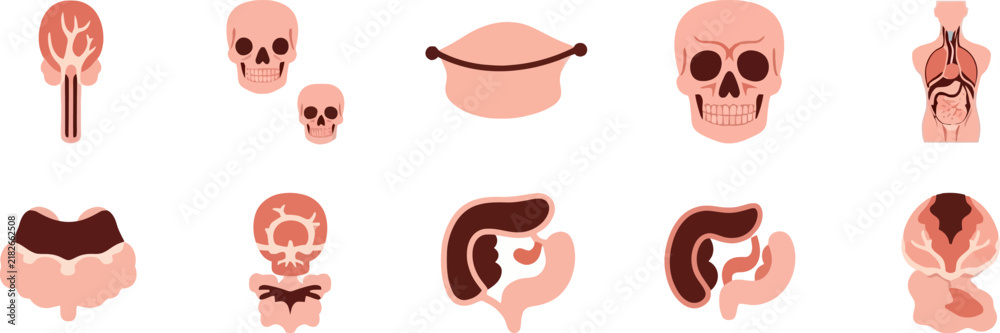 Obraz premium Adobe Illustrator Artwork