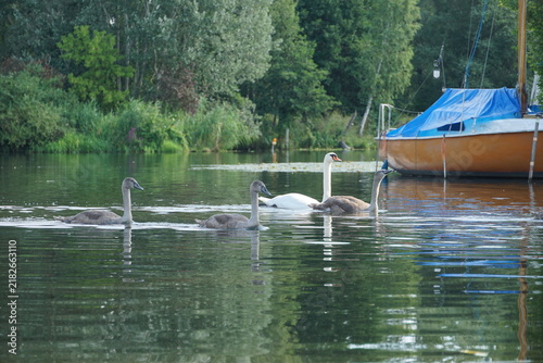 Kajaktour in Berlin auf der Havel und durch Kleinvenedig