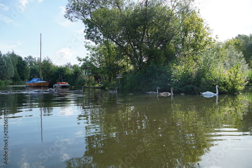 Kajaktour in Berlin auf der Havel und durch Kleinvenedig