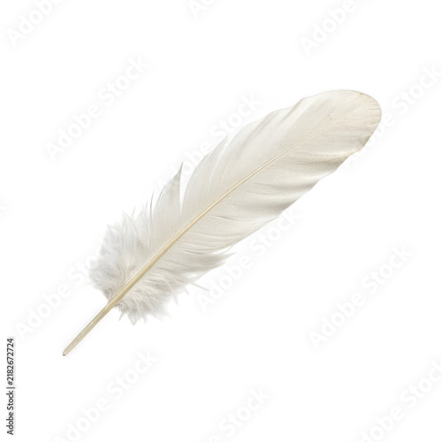 Obraz na plátně Single soft white bird feather isolated on a simple clean surface isolated on tr