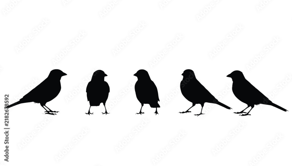 Fototapeta premium Sparrows silhouettes presented in a row against a plain white background offer a clean design element for natural graphic projects.