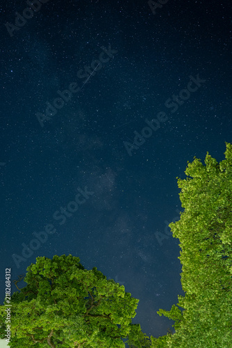 Obraz na plátne Milky Way and countless stars across the August night sky above illuminated old trees, with faint light trails visible among the stars in a clear summer nightscape