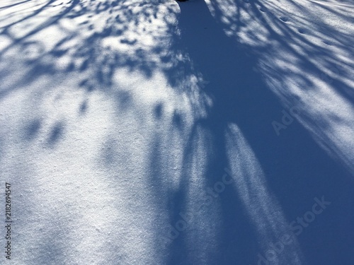 Bild auf Leinwand Fresh white snow with shadows cast by tree branches shaping whimsical blue silho