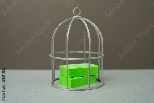 Bild auf Leinwand Money in a cage, frozen funds and usage restrictions concept, freeze, prepayment and deposit funds