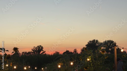 Twilight Tranquility: A serene landscape bathed in the soft hues of a sunset, with strings of illuminated bulbs casting a warm glow over silhouetted trees and foliage.
