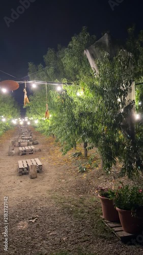 Night Garden Seating: Rustic wooden benches and tables are illuminated by a string of warm, glowing lights in a tranquil garden setting at night, creating an inviting ambiance for outdoor relaxation.