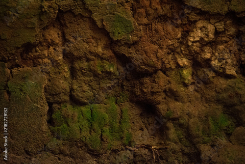 Obraz w ramie Mossy Underground Rock Texture Background