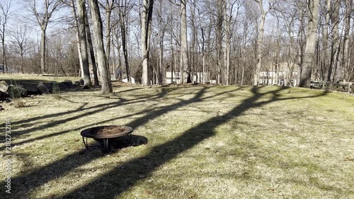birds in the backyard on a sunny springlike February day