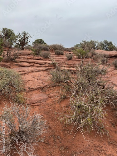 canyonlands national park