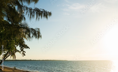 Scenic tropical beach landscape with pine tree silhouette at sunset