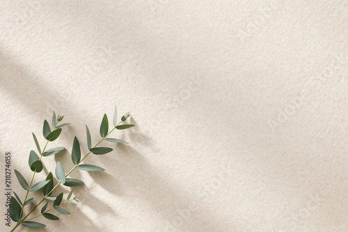 Minimal Botanical – Fine Art on Natural Light and Harmony