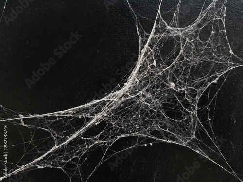 Intricate Silver Spider Web Strands Spanning Across a Deep Dark Background Creating a Moody and Eerie Atmosphere Perfect for Halloween Decorations